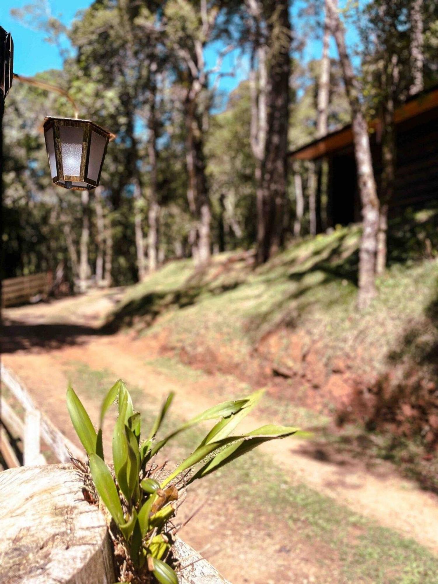 La Catedral - Hospedagem Campos Do Jordao Bagian luar foto